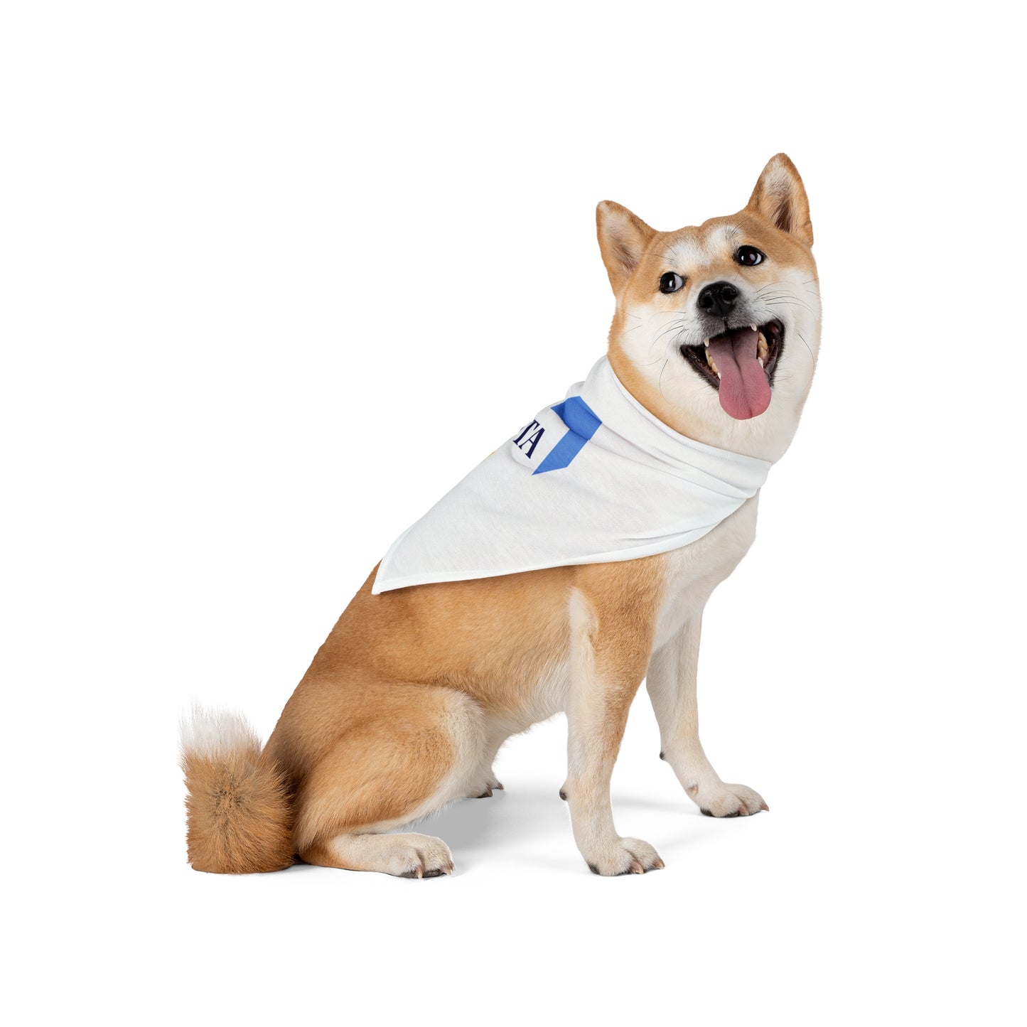 Pet Bandana - FFTA